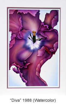 Donna Haddon, Donna Designs Donna Haddon, Donna Designs